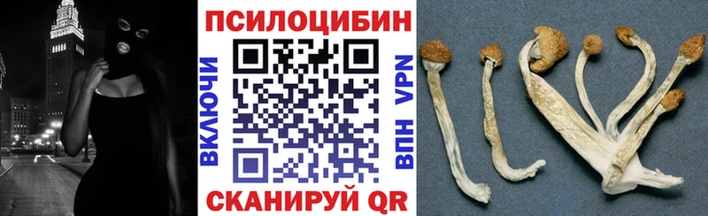 Псилоцибиновые грибы мухоморы  Купить  Мегион 