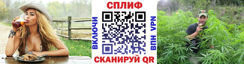 Конопля OG Kush  Купить  Мегион 